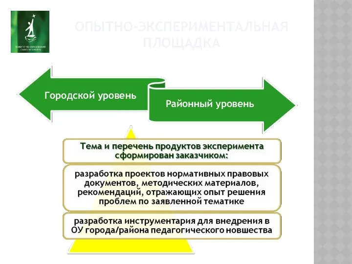 ОПЫТНО-ЭКСПЕРИМЕНТАЛЬНАЯ ПЛОЩАДКА Городской уровень Районный уровень