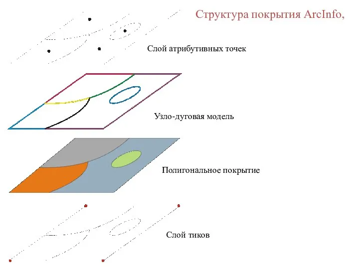 Структура покрытия ArcInfo, Слой атрибутивных точек Узло-дуговая модель Полигональное покрытие Слой тиков