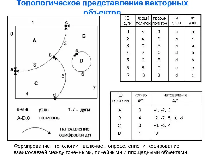 Топологическое представление векторных объектов Формирование топологии включает определение и кодирование взаимосвязей