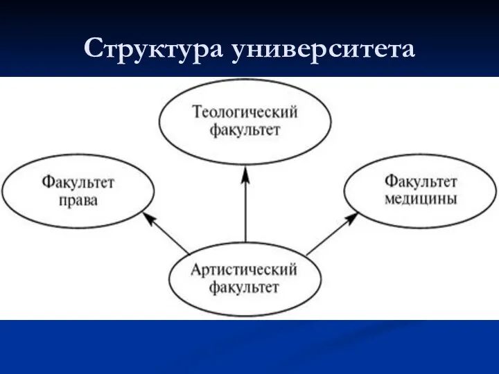 Структура университета