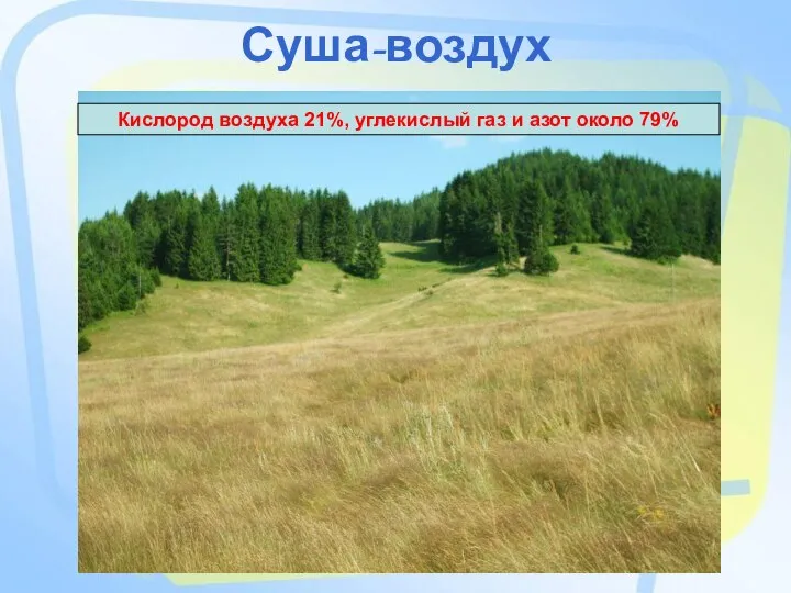 Суша-воздух Кислород воздуха 21%, углекислый газ и азот около 79%