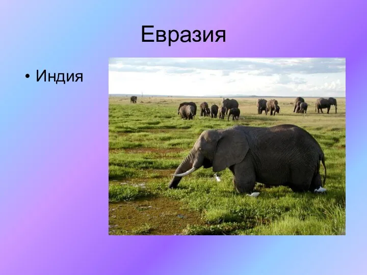 Евразия Индия