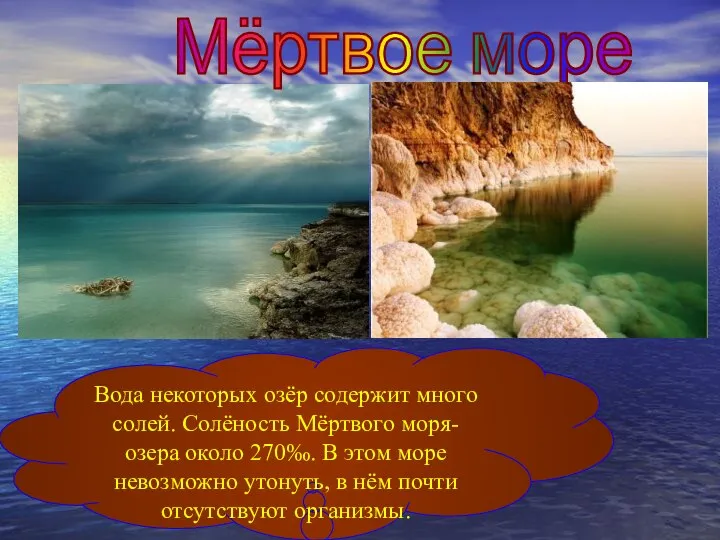 Мёртвое море Вода некоторых озёр содержит много солей. Солёность Мёртвого моря-озера