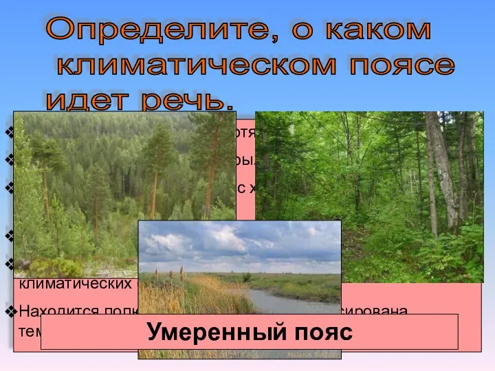 Определите, о каком климатическом поясе идет речь. Пояс имеет наибольшую протяженность