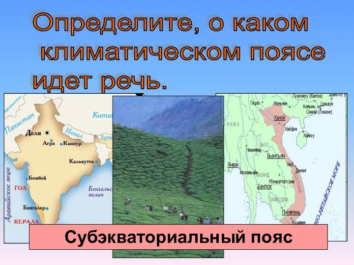 Определите, о каком климатическом поясе идет речь. Летом преобладают экваториальные воздушные