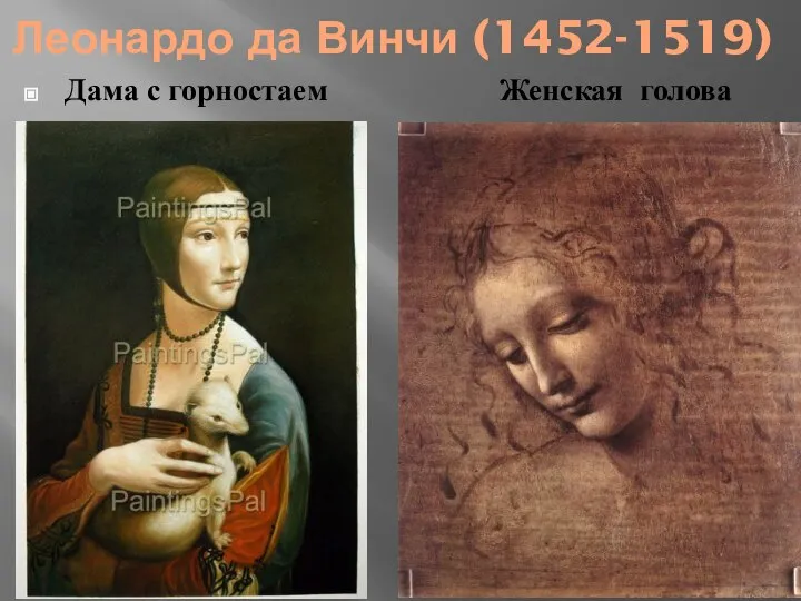 Леонардо да Винчи (1452-1519) Дама с горностаем Женская голова