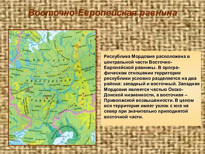 Восточно-Европейская равнина Республика Мордовия расположена в центральной части Восточно-Европейской равнины. В