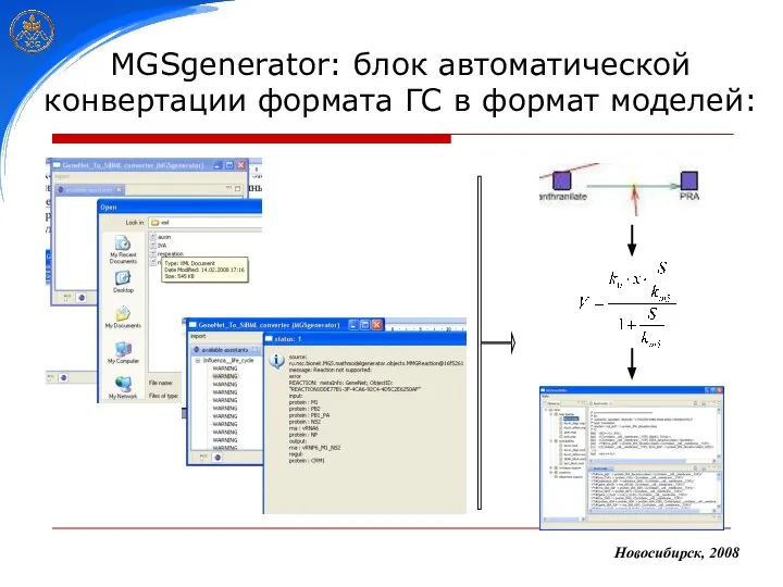 MGSgenerator: блок автоматической конвертации формата ГС в формат моделей: Новосибирск, 2008