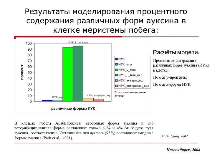 Результаты моделирования процентного содержания различных форм ауксина в клетке меристемы побега: