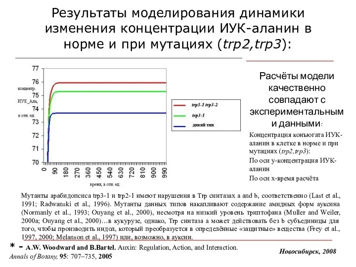 Результаты моделирования динамики изменения концентрации ИУК-аланин в норме и при мутациях