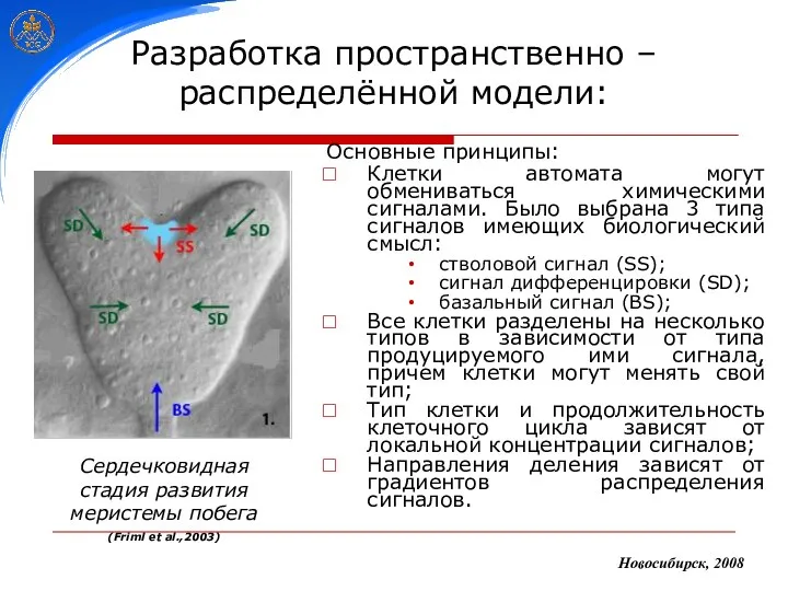 Разработка пространственно – распределённой модели: Основные принципы: Клетки автомата могут обмениваться