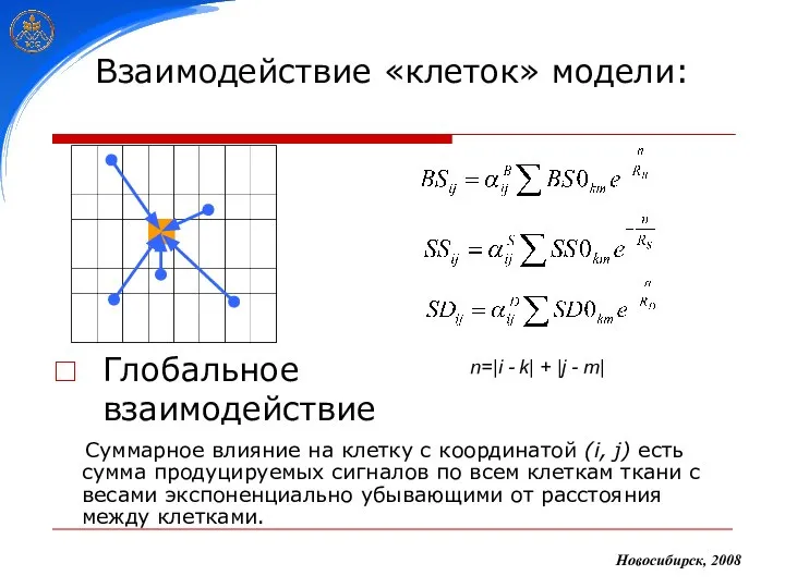 Взаимодействие «клеток» модели: Глобальное взаимодействие Новосибирск, 2008 Суммарное влияние на клетку