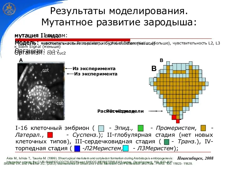 Sharma V.K. and Fletcher J.C. (2003). Maintenance of Shoot and Floral