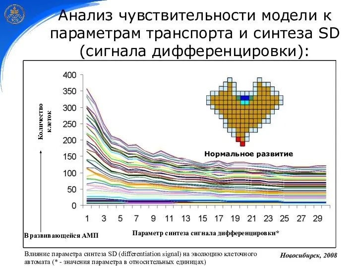 Анализ чувствительности модели к параметрам транспорта и синтеза SD (сигнала дифференцировки):