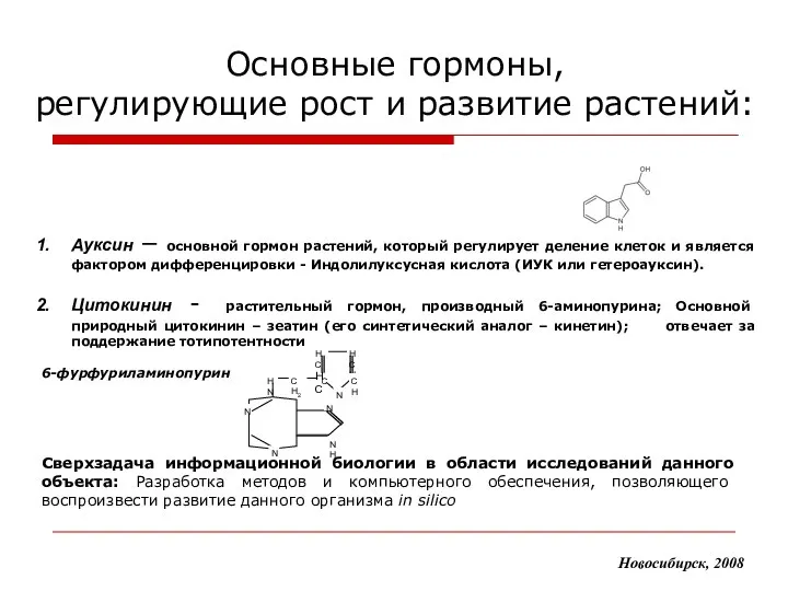 Основные гормоны, регулирующие рост и развитие растений: Новосибирск, 2008 Ауксин –