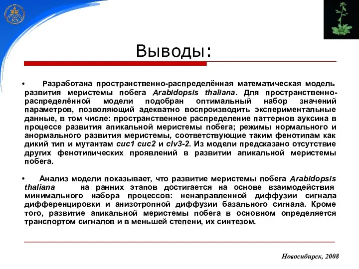 Новосибирск, 2008 Разработана пространственно-распределённая математическая модель развития меристемы побега Arabidopsis thaliana.