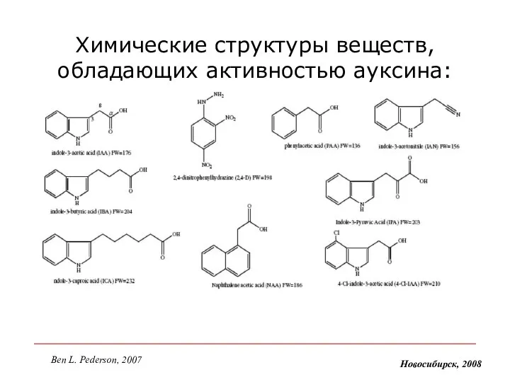 Химические структуры веществ, обладающих активностью ауксина: Новосибирск, 2008 Ben L. Pederson, 2007