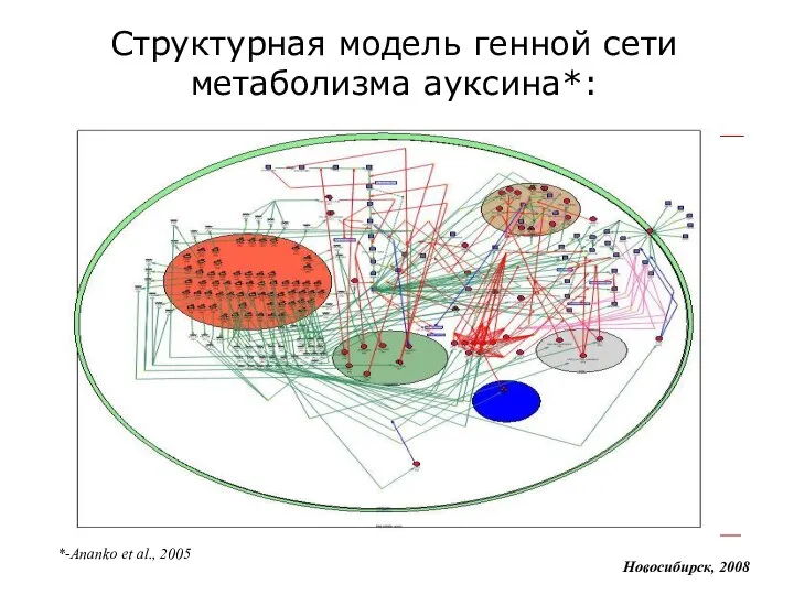 Структурная модель генной сети метаболизма ауксина*: Новосибирск, 2008 *-Ananko et al., 2005