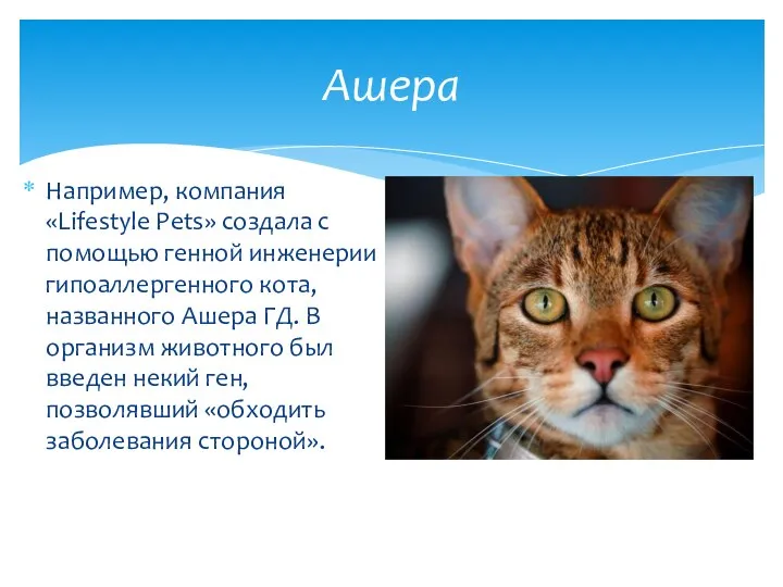 Например, компания «Lifestyle Pets» создала с помощью генной инженерии гипоаллергенного кота,