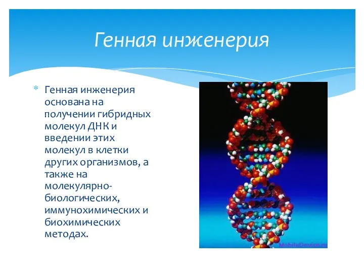 Генная инженерия основана на получении гибридных молекул ДНК и введении этих