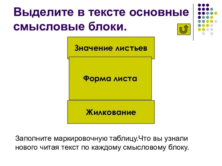 Выделите в тексте основные смысловые блоки. Значение листьев Жилкование Форма листа