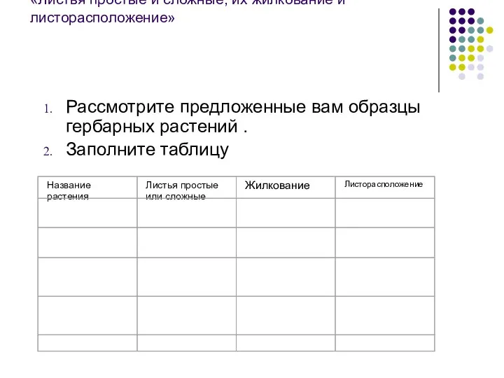 Лабораторная работа «Листья простые и сложные, их жилкование и листорасположение» Рассмотрите