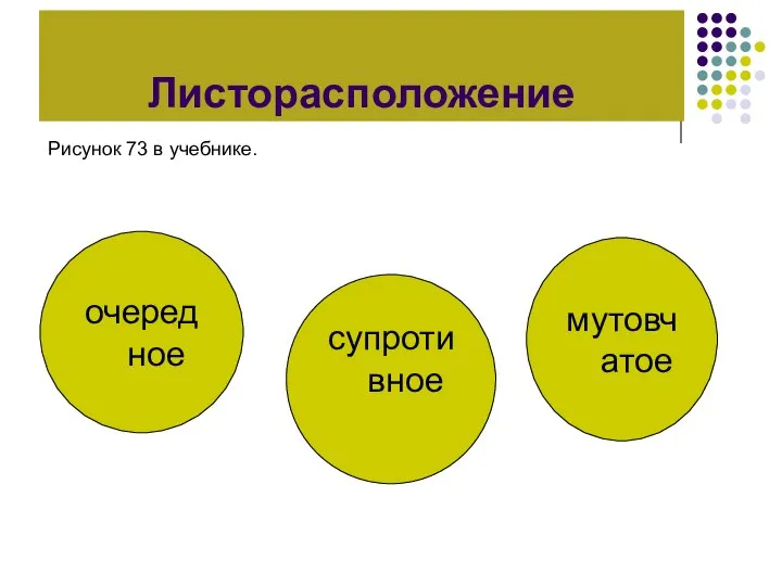 Листорасположение очередное Рисунок 73 в учебнике. супротивное мутовчатое