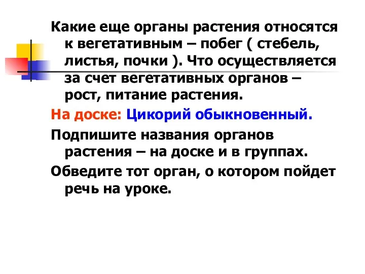 Какие еще органы растения относятся к вегетативным – побег ( стебель,