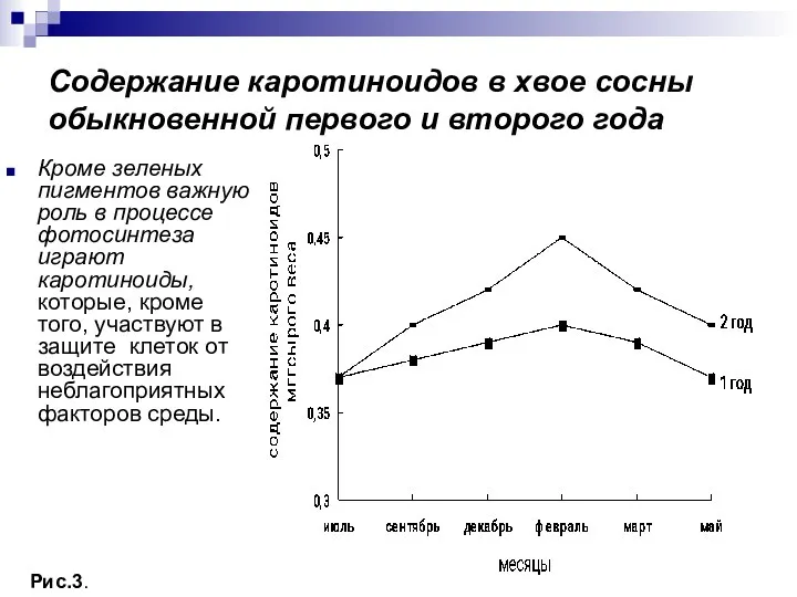 Содержание каротиноидов в хвое сосны обыкновенной первого и второго года Кроме