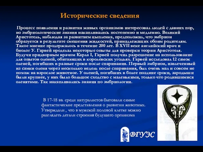 Исторические сведения В 17-18 вв. среди натуралистов бытовали самые фантастические представления