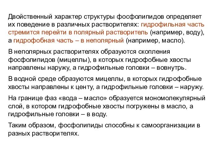 Двойственный характер структуры фосфолипидов определяет их поведение в различных растворителях: гидрофильная