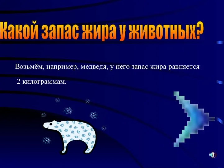 Какой запас жира у животных? Возьмём, например, медведя, у него запас жира равняется 2 килограммам.