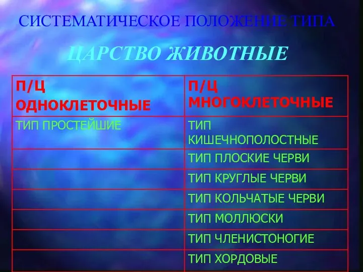 СИСТЕМАТИЧЕСКОЕ ПОЛОЖЕНИЕ ТИПА ЦАРСТВО ЖИВОТНЫЕ