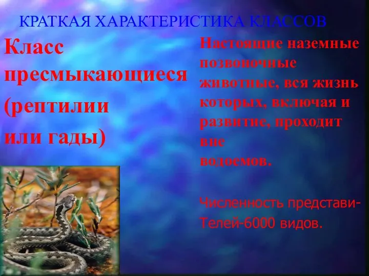 КРАТКАЯ ХАРАКТЕРИСТИКА КЛАССОВ