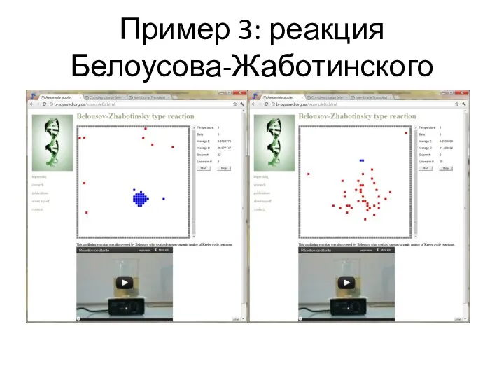 Пример 3: реакция Белоусова-Жаботинского