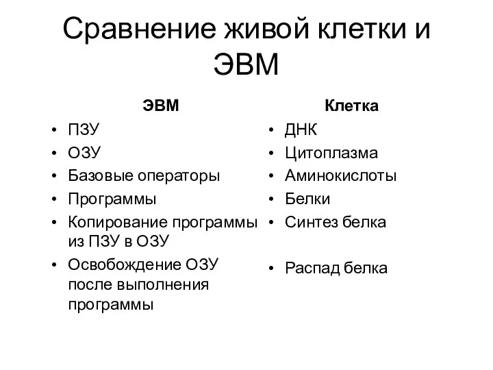 Сравнение живой клетки и ЭВМ Клетка ДНК Цитоплазма Аминокислоты Белки Синтез