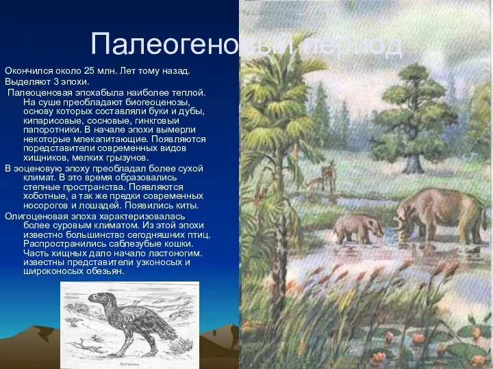 Палеогеновый период Окончился около 25 млн. Лет тому назад. Выделяют 3