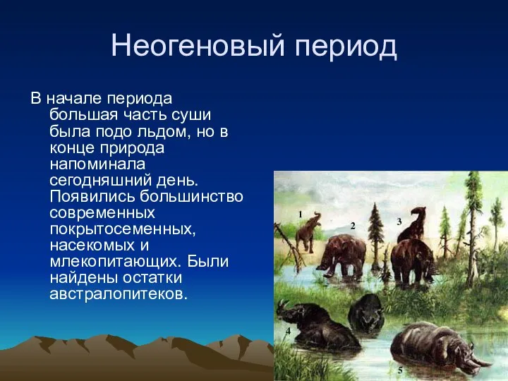 Неогеновый период В начале периода большая часть суши была подо льдом,