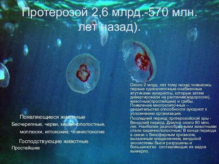 Протерозой 2,6 млрд.-570 млн. лет назад). Около 2 млрд. лет тому