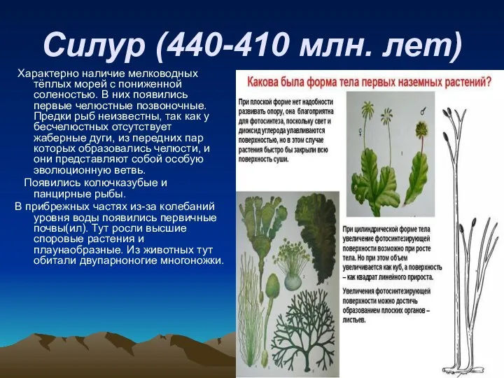 Силур (440-410 млн. лет) Характерно наличие мелководных тёплых морей с пониженной