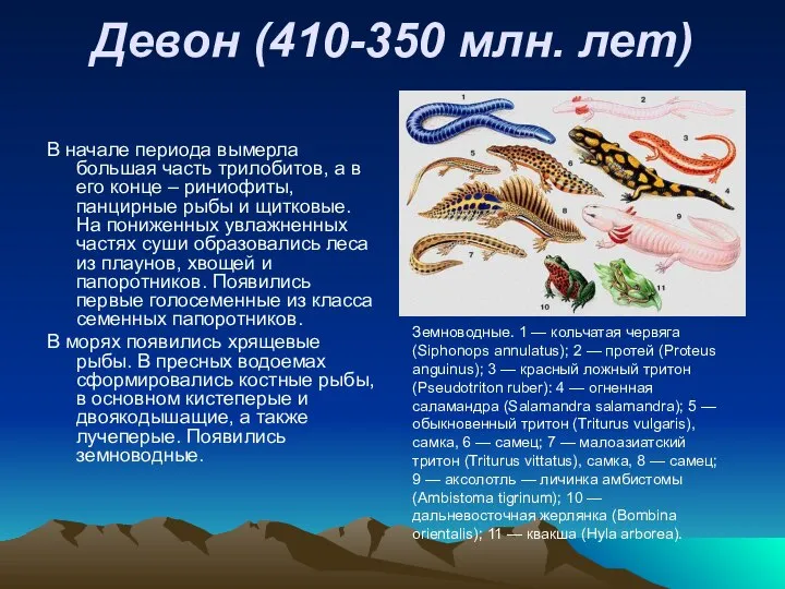 Девон (410-350 млн. лет) В начале периода вымерла большая часть трилобитов,