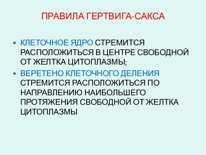 ПРАВИЛА ГЕРТВИГА-САКСА КЛЕТОЧНОЕ ЯДРО СТРЕМИТСЯ РАСПОЛОЖИТЬСЯ В ЦЕНТРЕ СВОБОДНОЙ ОТ ЖЕЛТКА