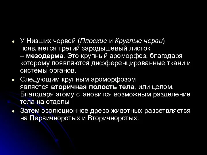 У Низших червей (Плоские и Круглые черви) появляется третий зародышевый листок