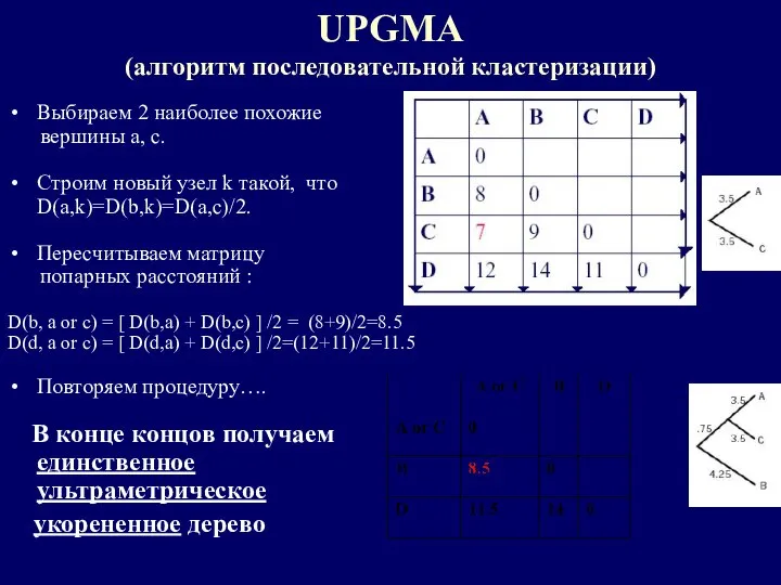 UPGMA (алгоритм последовательной кластеризации) Выбираем 2 наиболее похожие вершины a, c.