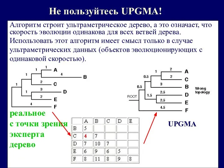 Не пользуйтесь UPGMA! Алгоритм строит ультраметрическое дерево, а это означает, что