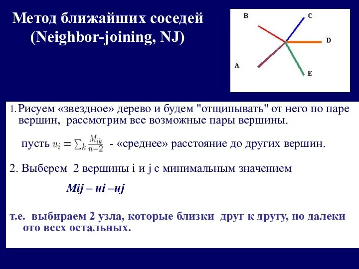 Метод ближайших соседей (Neighbor-joining, NJ) 1. Рисуем «звездное» дерево и будем