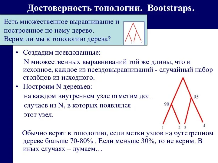 Достоверность топологии. Bootstraps. Создадим псевдоданные: N множественных выравниваний той же длины,