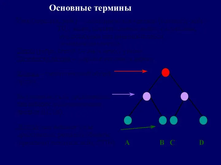 Основные термины