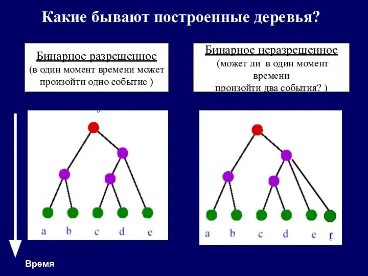 Какие бывают построенные деревья? Бинарное разрешенное (в один момент времени может