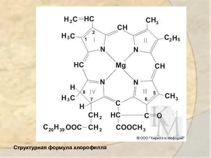 Структурная формула хлорофилла